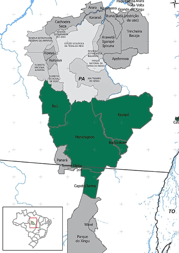território indígena Kayapó